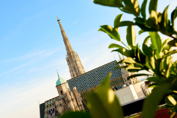 Fantastischer Ausblick auf den Stephansdom