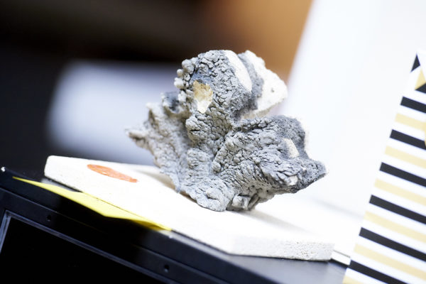 Kreuzblumenkrabbe: ein über 170 Jahre altes Fragment und Unikat vom Wiener Stephansdom